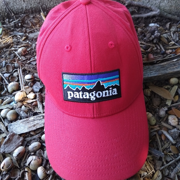 Patagonia Other - Patagonia P6 logo Hat